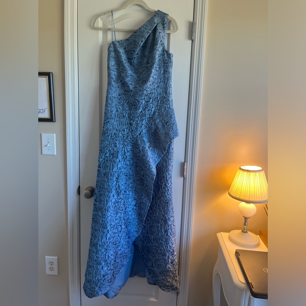 Teri Jon MOB/MOG dress